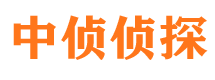 蓝山侦探公司